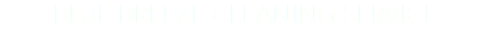 BLUE BREEZE CLEANING SERVICE